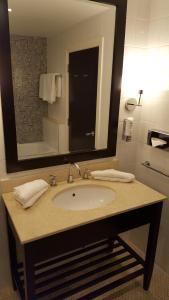 阿斯隆三叶草小屋酒店的一间带水槽和镜子的浴室
