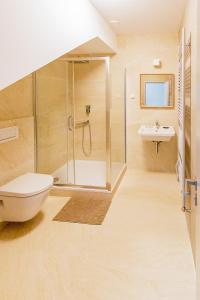 马达伯乐斯拉夫Exclusive penzion Viva Residence的带淋浴、卫生间和盥洗盆的浴室
