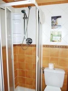 利亚内斯Las endrinas的带淋浴和卫生间的浴室