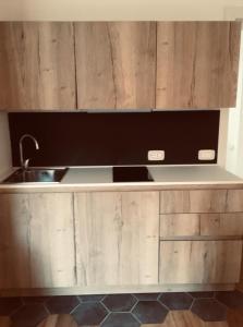 阿尔库阿佩特拉尔卡Appartamenti Quota 101的一个带水槽和木橱柜的厨房