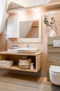布科维纳-塔钱斯卡Dom Wysoki的一间带水槽和卫生间的浴室