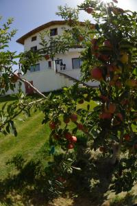 伊夫兰Villa SALAM的房子前面的苹果树