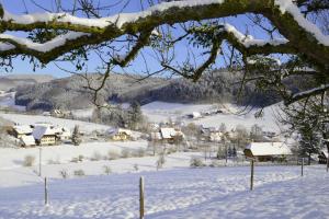 SchuttertalFerienhaus Gehring的一座雪覆盖的村庄,远处有房子