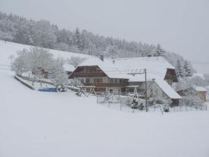 SchuttertalFerienhaus Gehring的前面的雪覆盖的房子