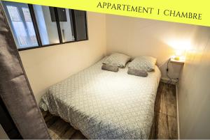 普瓦捷Les Appartements du Pont Joubert的一间小卧室,配有带两个枕头的床