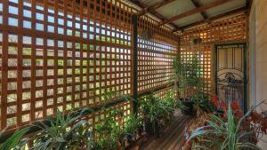 UlmarraVillage Stays Coldstream Gallery Bungalow的一间设有木栅栏的客房,里面种有植物