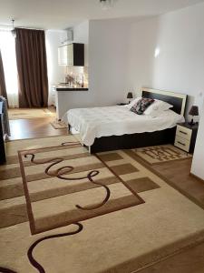 BrăneştiCASA VELDONI的卧室配有一张床,地板上铺有地毯
