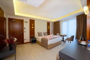 伊斯坦布尔My Dream Istanbul Hotel的配有一张床和一张书桌的酒店客房