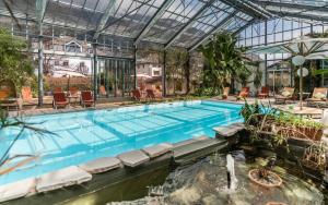 科尔德拉诺Hotel Bamboo的温室游泳池,带游泳池