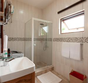 普拉兰大安塞区Stone Self Catering Apartment的一间带水槽和淋浴的浴室