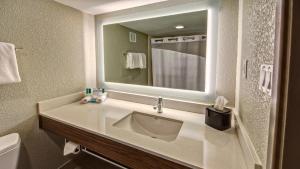 路易斯威尔路易斯维尔机场展览中心智选假日酒店的一间带水槽和镜子的浴室