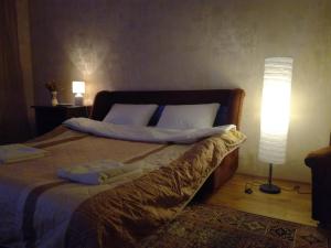 基辅Gloria park apartment的一间卧室配有带两个枕头和一盏灯的床