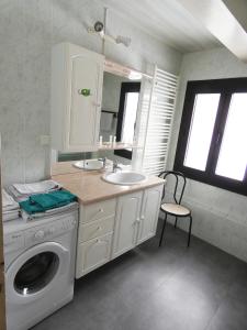 塞拉克安布赫特公寓的一间带洗衣机和水槽的浴室