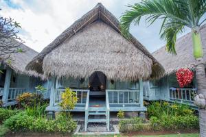 蓝梦岛TS蓝梦小屋旅馆的茅草屋顶和棕榈树的房子