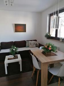 兹拉蒂博尔Apartmani Starovla的客厅配有沙发和桌子