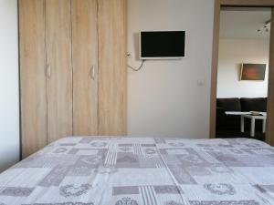 兹拉蒂博尔Apartmani Starovla的一间卧室配有一张床,墙上配有电视