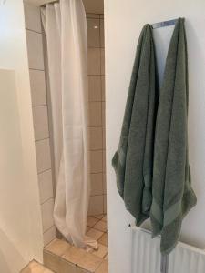 维泽桑讷Surf Apartment Stormgade的浴室设有两条挂在墙上的绿色毛巾