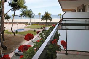 托里代巴拉AT125 Pins I的阳台种有红色花卉,享有海滩美景