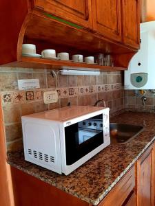圣拉斐尔卡瓦尼亚斯卡尔德龙二号山林小屋的厨房台面上的一个微波炉