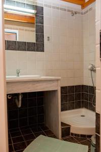 考考纳里斯Haris apartments的一间带水槽和卫生间的浴室