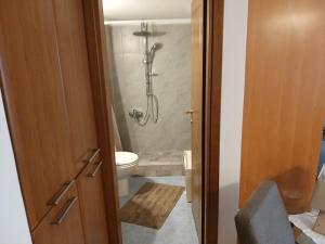 塞萨洛尼基Maria’s house的带淋浴、卫生间和门的浴室