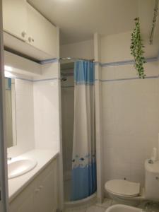 格里莫Luxury apartment in Port Grimaud的带淋浴、卫生间和盥洗盆的浴室
