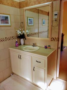 格罗斯岛BenCastle Villa的一间带水槽和镜子的浴室