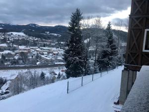 米尔茨楚施拉格Lambach Villa Appartament 2的一座白雪覆盖的山丘,远处有一座城市