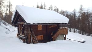 海利根布卢特Ferienhütte Ortnerkasa的小木屋顶部有雪