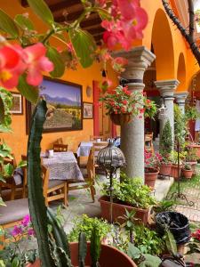 瓦哈卡市Los Arrayanes的庭院设有桌子和一些植物和鲜花