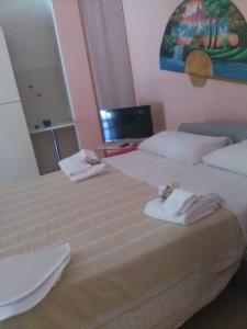 波利卡斯特罗巴森迪诺Appartamenti Centro Policastro的酒店客房,配有两张带毛巾的床