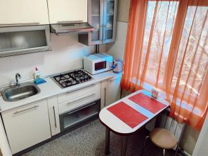 Apartment - 4А Zaporizka Street的厨房或小厨房