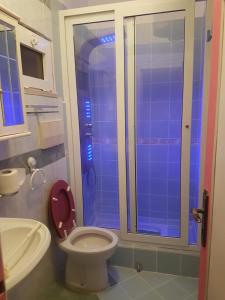 圣费利切-奇尔切奥Appartamento Panoramico的一间带卫生间和玻璃淋浴间的浴室