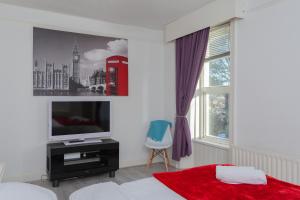 伦敦德里Windsor House的一间卧室设有一张床、一台电视和一个窗口。