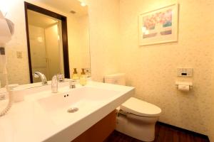 大阪Hotel 3 O'Clock Tennoji的一间带水槽、卫生间和镜子的浴室
