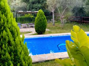 埃尔加斯托尔阿尔加罗巴勒斯乡村旅馆的一座树木繁茂的庭院内的游泳池