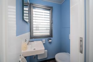 BraunsbedraHausboote Marina Braunsbedra的蓝色的浴室设有水槽和卫生间