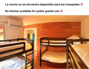 蒙得维的亚Circus Hostel&Hotel Montevideo的一间设有两张双层床的客房
