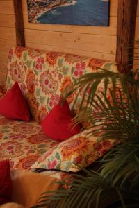HainOybiner Blockhaus und Ferienwohnungen的一张带两个红色枕头和植物的沙发