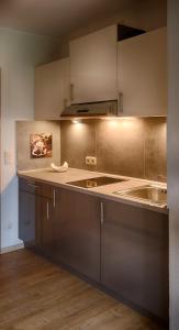 普吕姆Hofgut Held的厨房配有不锈钢橱柜和水槽