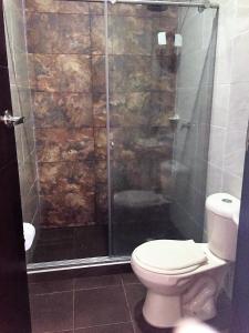 弗兰德斯Casa Veraneo Flandes con Piscina Privada的一间带卫生间和玻璃淋浴间的浴室