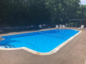 克莱顿West Winds Motel & Cottages的庭院里带椅子的大型蓝色游泳池