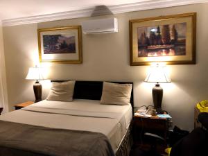 弗里敦HOTEL MALLIKA COMPANY, SL的酒店客房,配有一张床和两盏灯