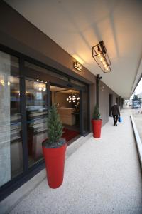 贝桑松Hôtel Fontaine Argent - Centre Ville的两株盆栽植物正坐在建筑物外面