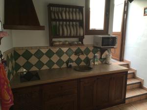 GuarazocaLa Zamora的厨房配有带水槽和微波炉的台面