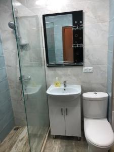 埃里温Mergelyan park by Metro Friendship的浴室配有卫生间、盥洗盆和淋浴。