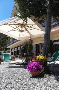 蒙特罗索阿尔马雷艾尔伯格苏依赛贝尔维尤酒店的庭院设有椅子和遮阳伞,鲜花盛开