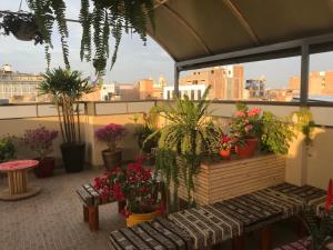 齐克拉约Tamaris Hotel的阳台种植了盆栽植物,设有长凳