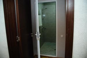 泰拉维Dreamland Guest House的带淋浴的浴室和玻璃门