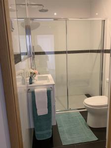 波尔图BF Suites & Apartments的带淋浴、卫生间和盥洗盆的浴室